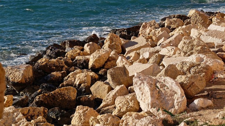 seawall, breakwater, jetty